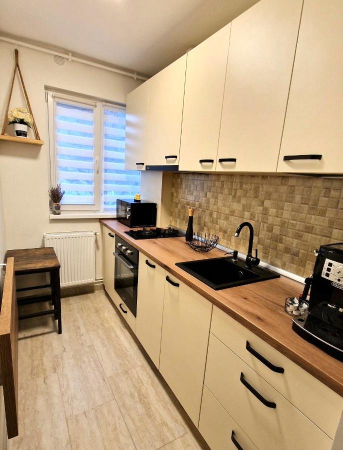 Apartamentul Gaviota Timişoara Eksteriør bilde